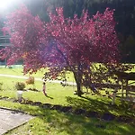Aparthotel Haus Ausserbach